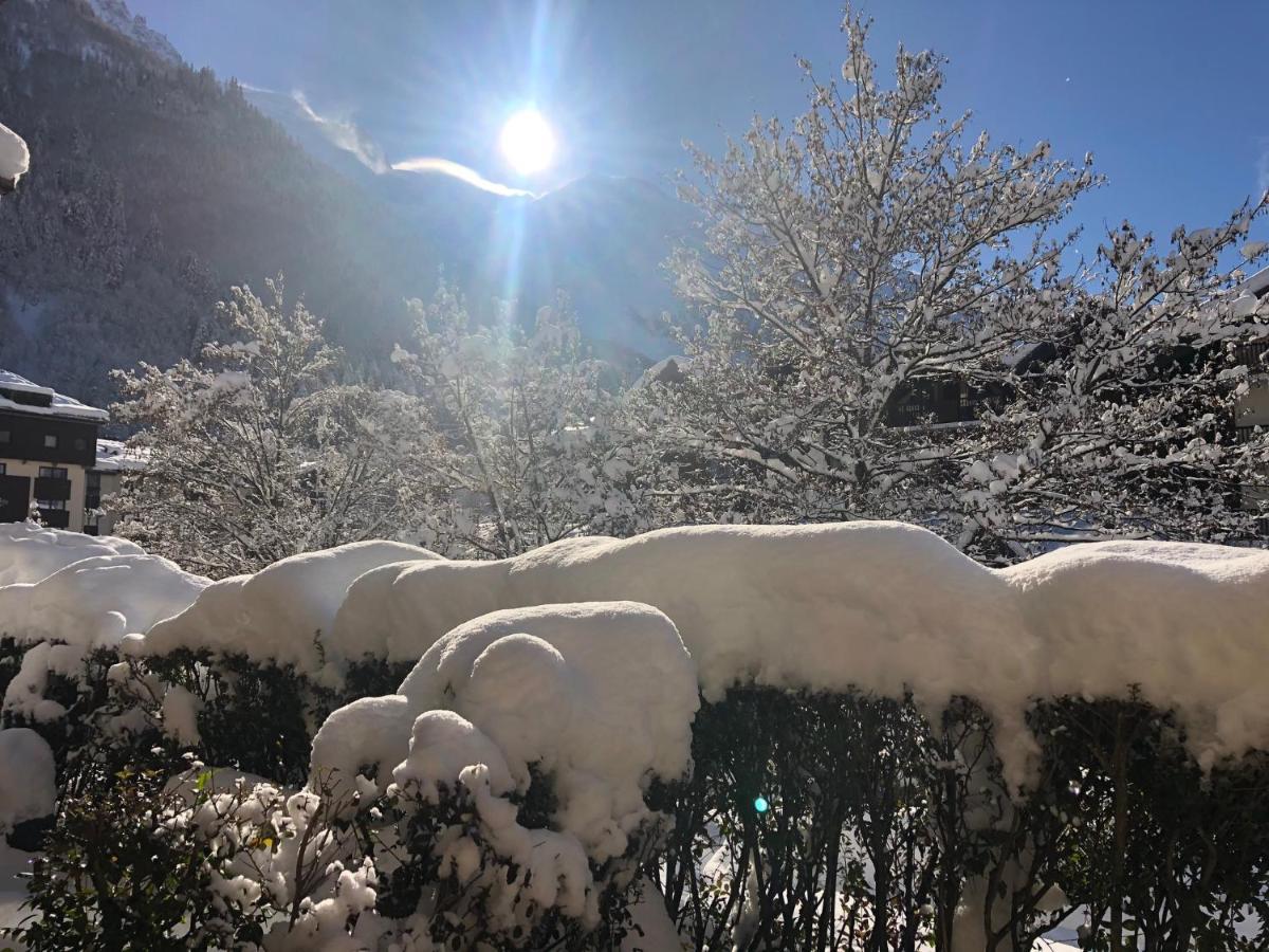 Chamonix 27 - Au Centre Vue Mont Blanc Et Jardinアパートメント エクステリア 写真